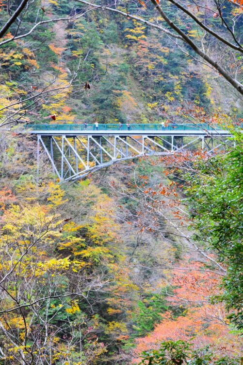 寸又峡・飛龍橋の紅葉