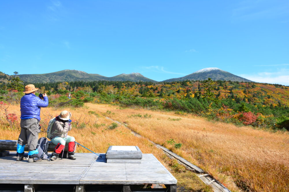 紅葉時期の八甲田山・下毛無岱の休憩ポイントと八甲田の山々