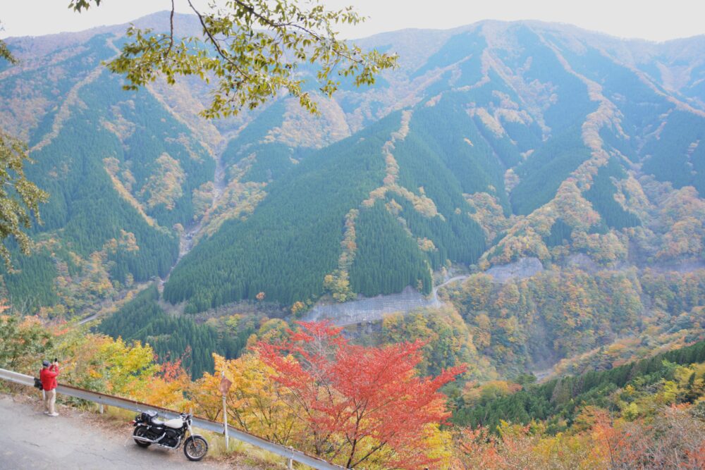 ナメゴ谷の紅葉