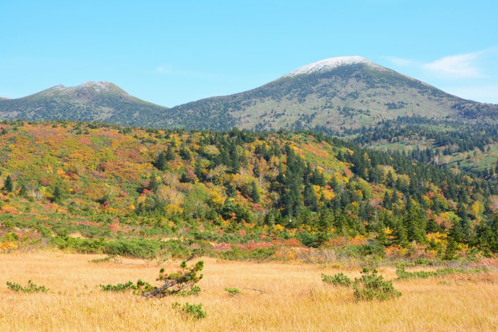 八甲田山・下毛無岱の紅葉と大岳山頂