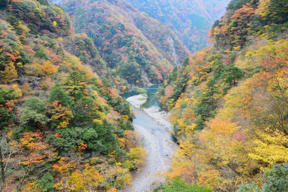 寸又峡の紅葉