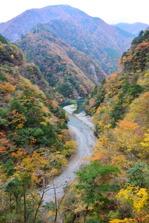 寸又峡の紅葉