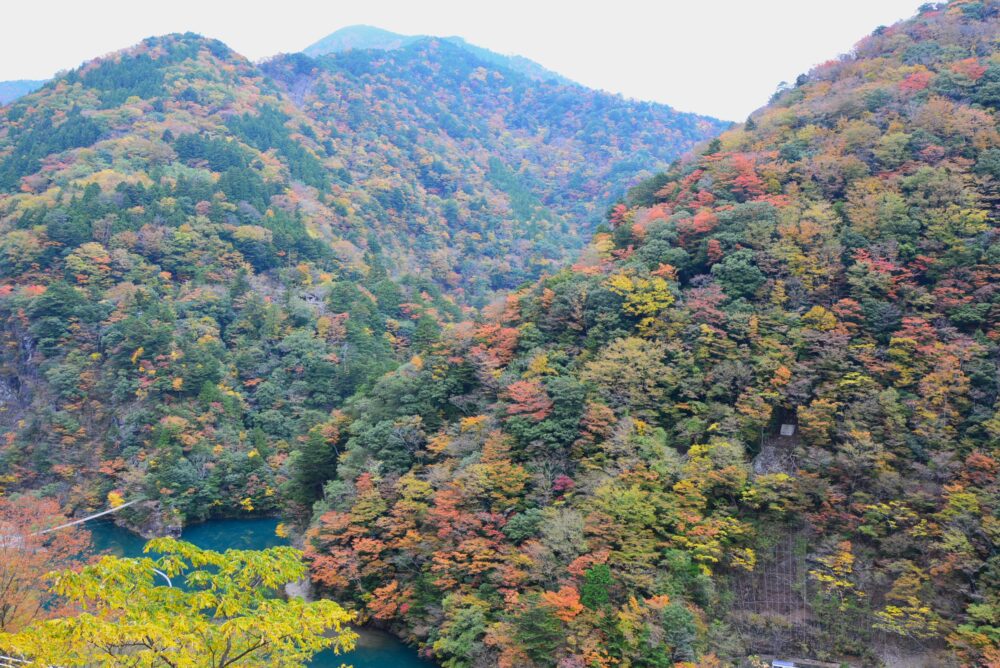 寸又峡の紅葉