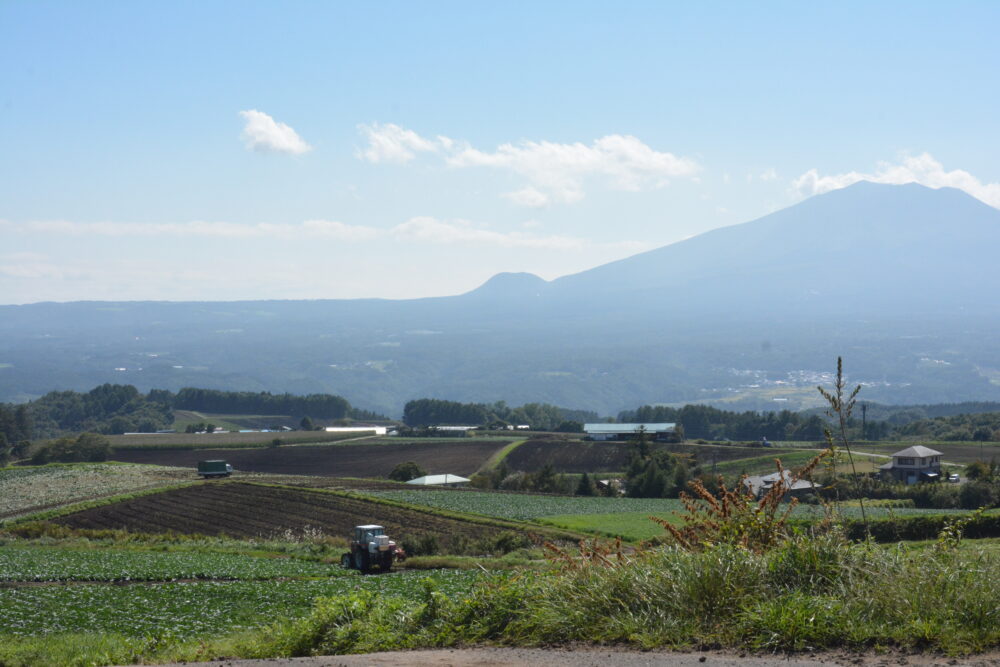 嬬恋村のキャベツ畑と浅間山