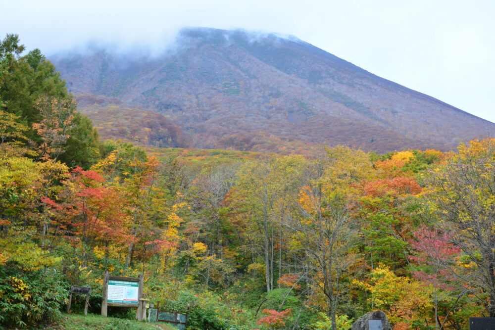 岩手山馬返し登山口から見た岩手山