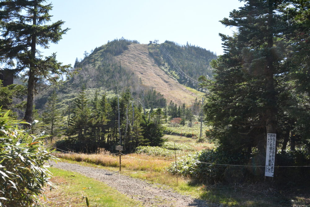 草津白根山（本白根山）の登山道