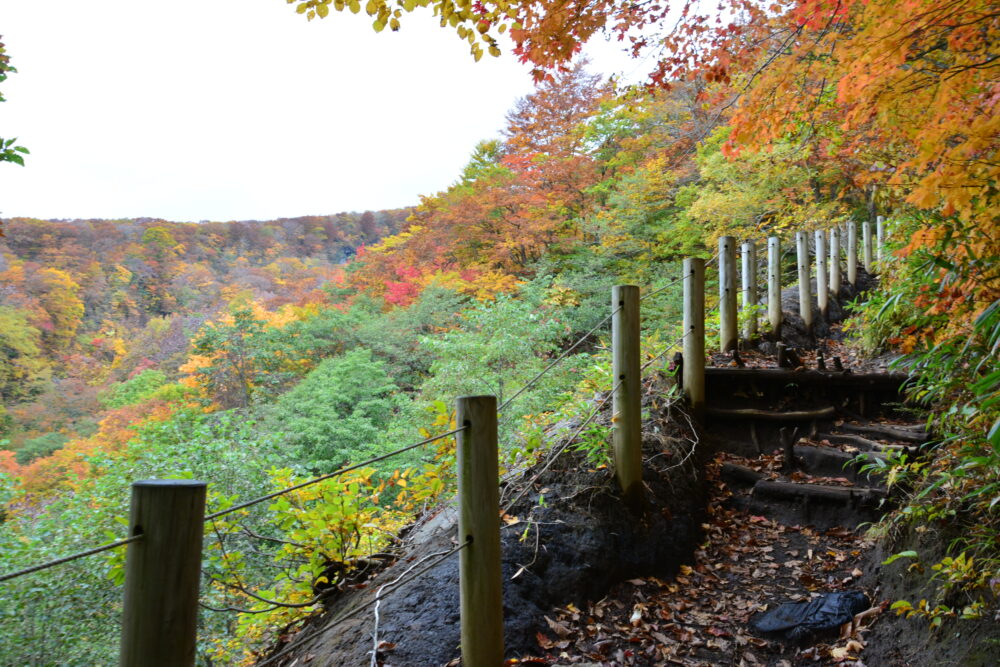 岩手山の紅葉