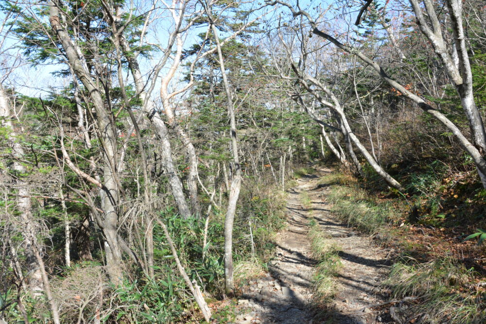 草津白根山（本白根山）の登山道