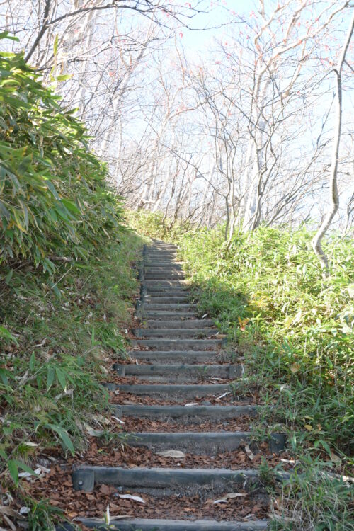 草津白根山（本白根山）の登山道