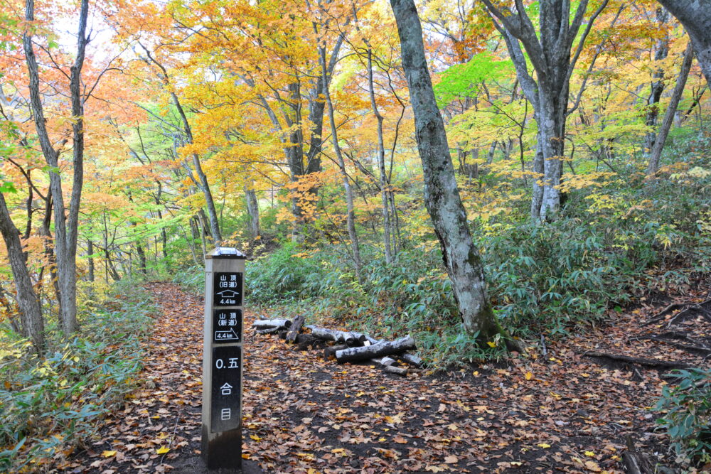 紅葉の岩手山の0.5合目