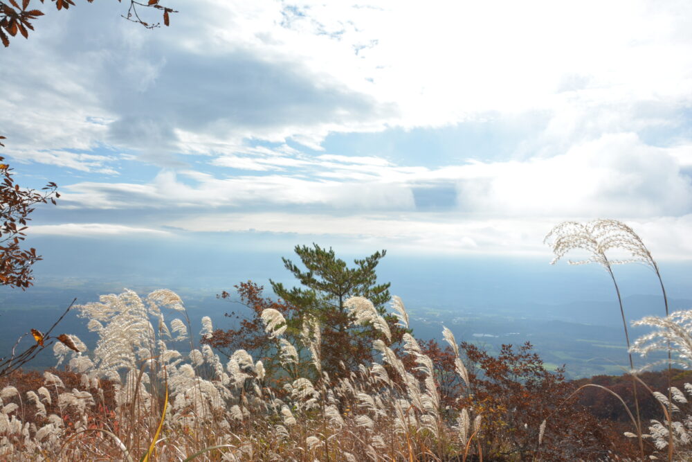 秋の岩手山から眺めたすすきと空