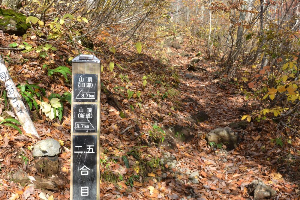 岩手山の2.5合目