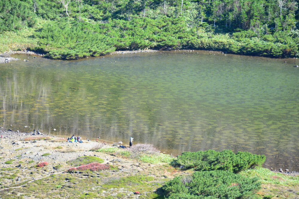 草津白根山（本白根山）の鏡池