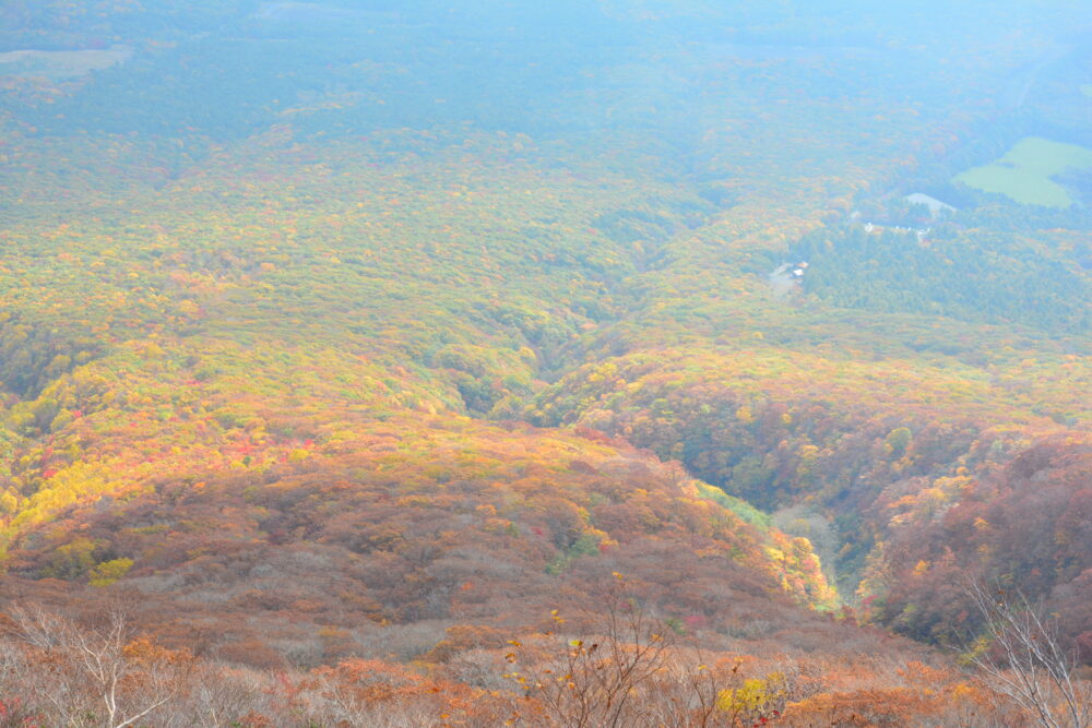 岩手山から見た下界の紅葉