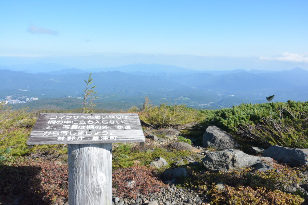 草津白根山（本白根山）のコマクサ群生地にある注意看板