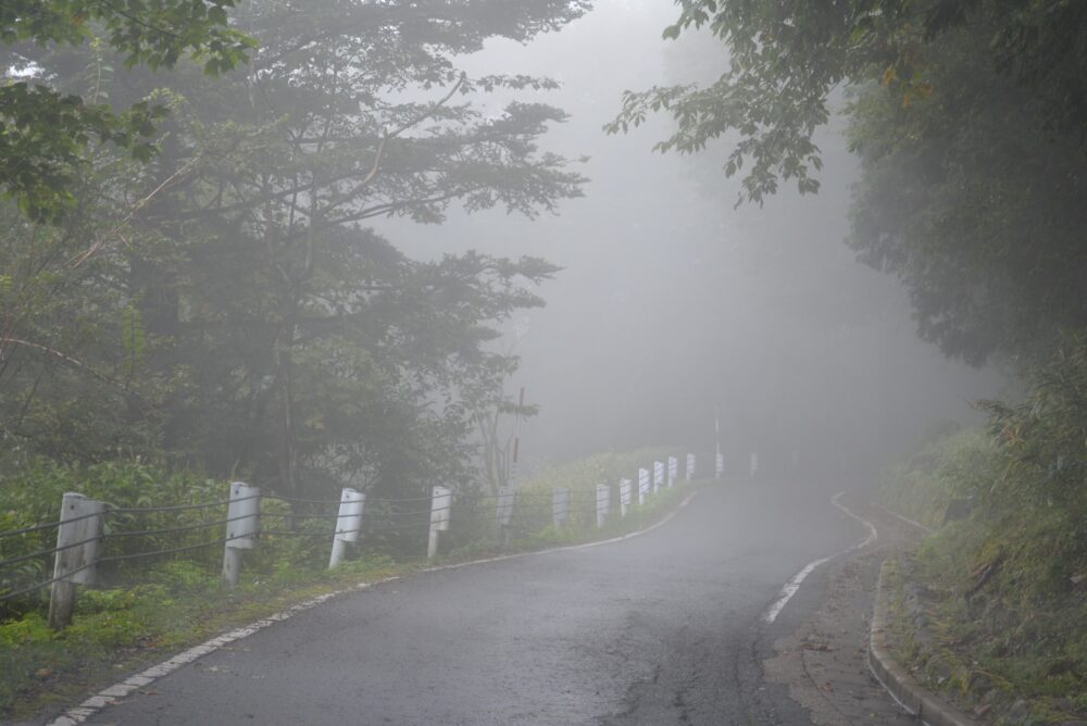 剣山近くの霧に包まれた山道