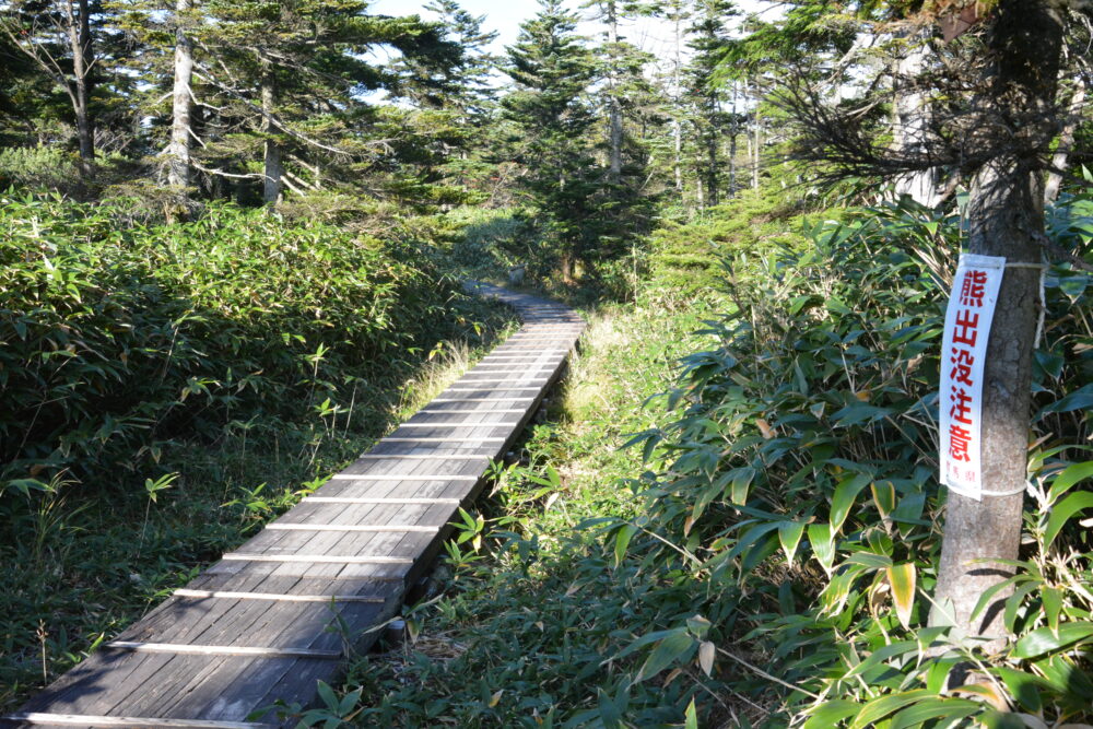 草津白根山（本白根山）の登山道