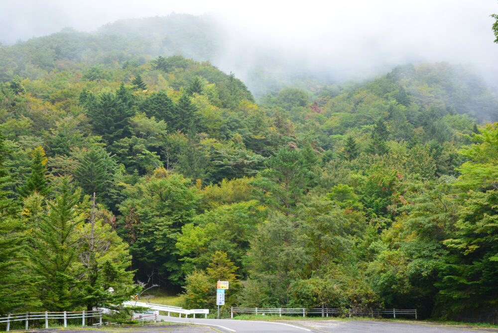 東祖谷の山の景色