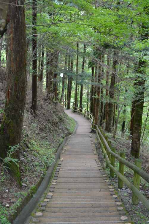 奥祖谷二重かずら橋の遊歩道