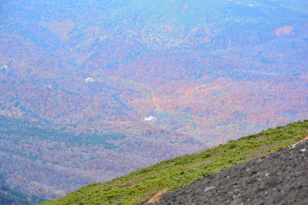 岩手山山頂から見た八幡平の紅葉