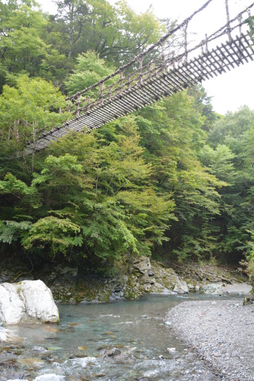 川から見た奥祖谷二重かずら橋の男橋