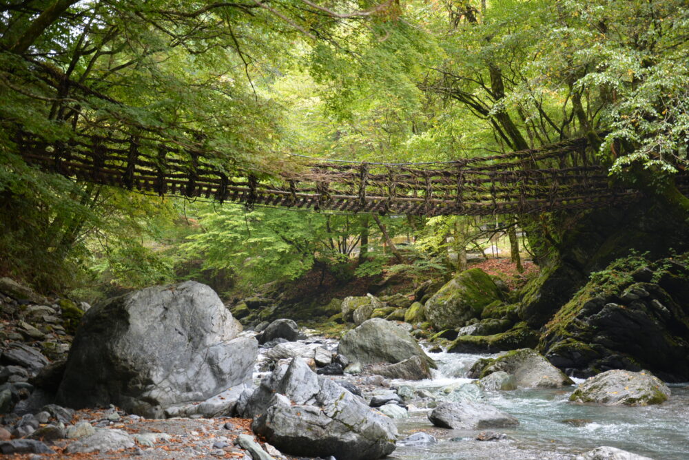 下から見た奥祖谷二重かずら橋の女橋