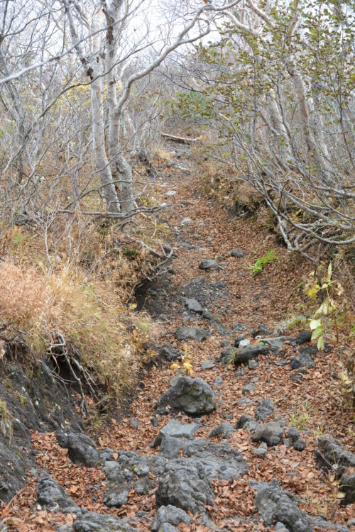 岩手山の登山道