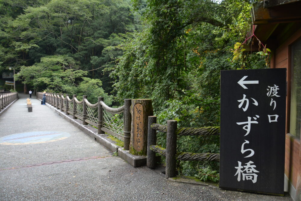 祖谷のかずら橋