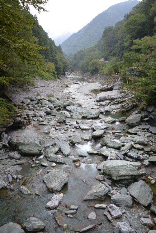 祖谷のかずら橋から見た祖谷渓