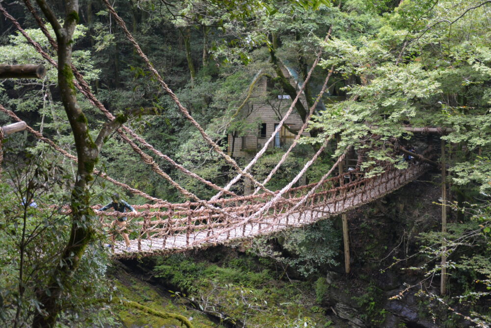 祖谷のかずら橋