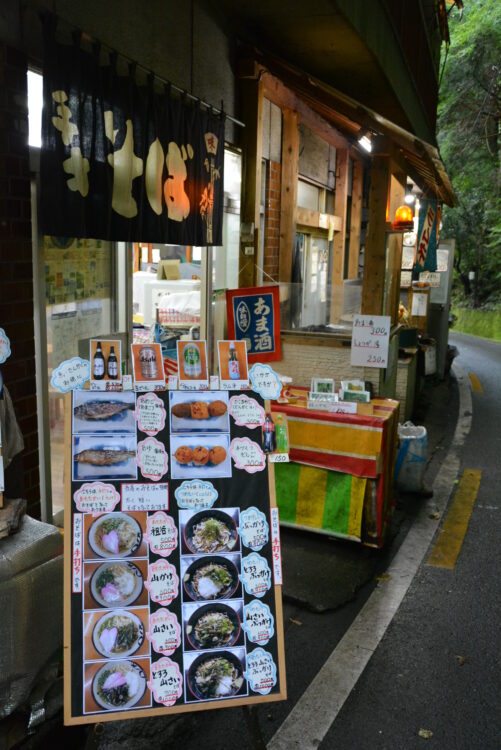 祖谷のかずら橋のノスタルジックな商店