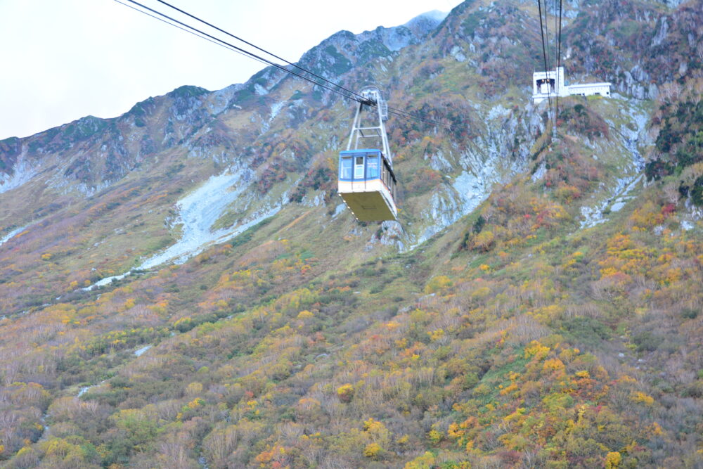 立山黒部アルペンルートのロープウェイから見た紅葉