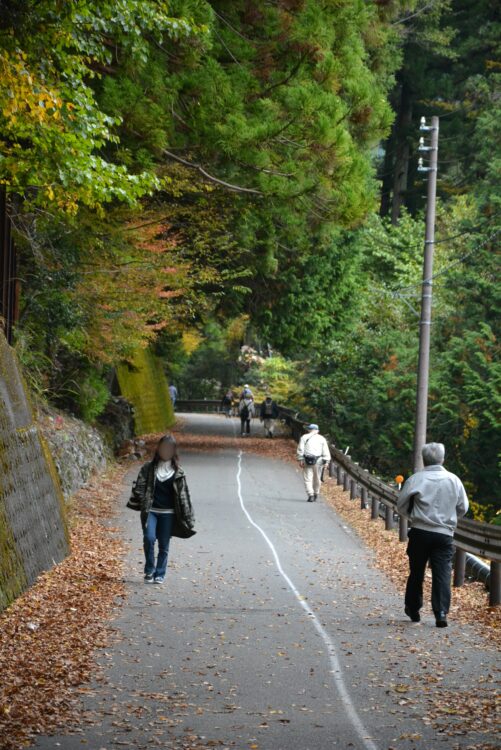 寸又峡の遊歩道を歩く人々