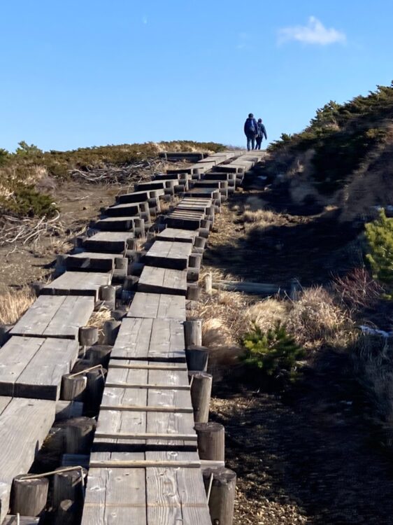 整備された蔵王山の登山道