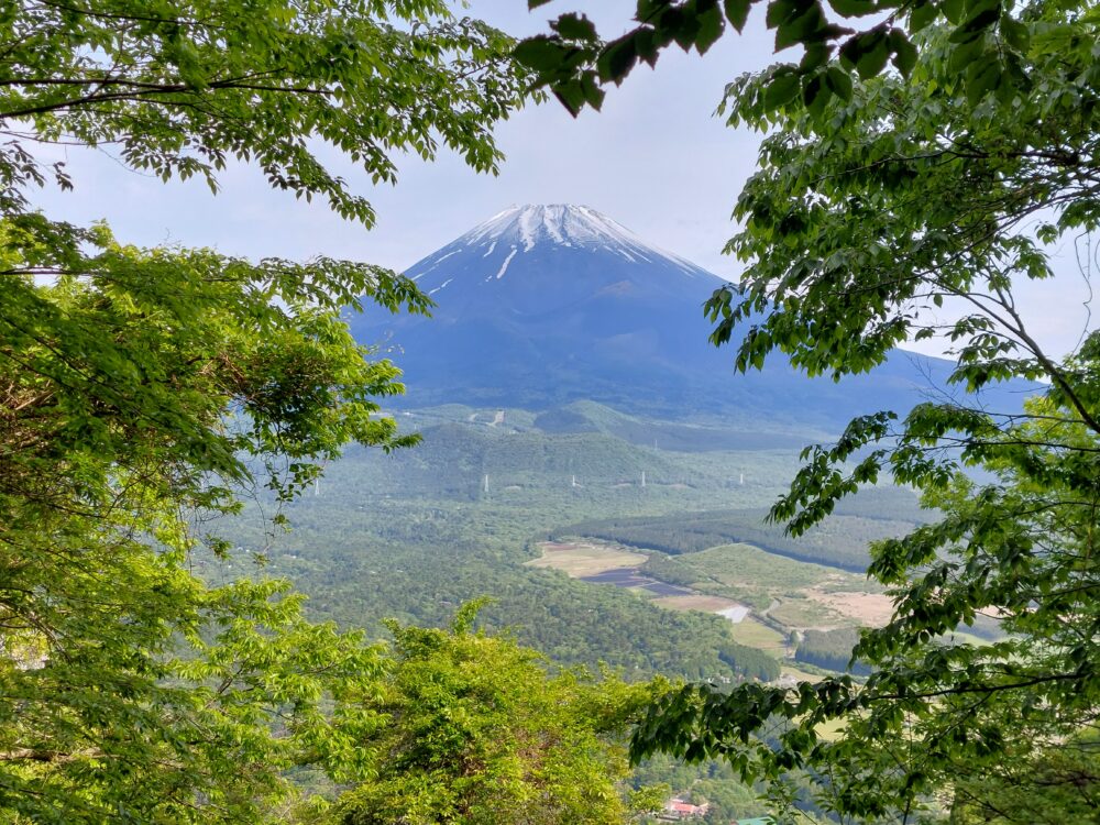 愛鷹山の黒岳展望所から見る富士山