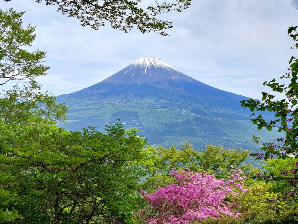 愛鷹山の越前岳付近から眺める富士山