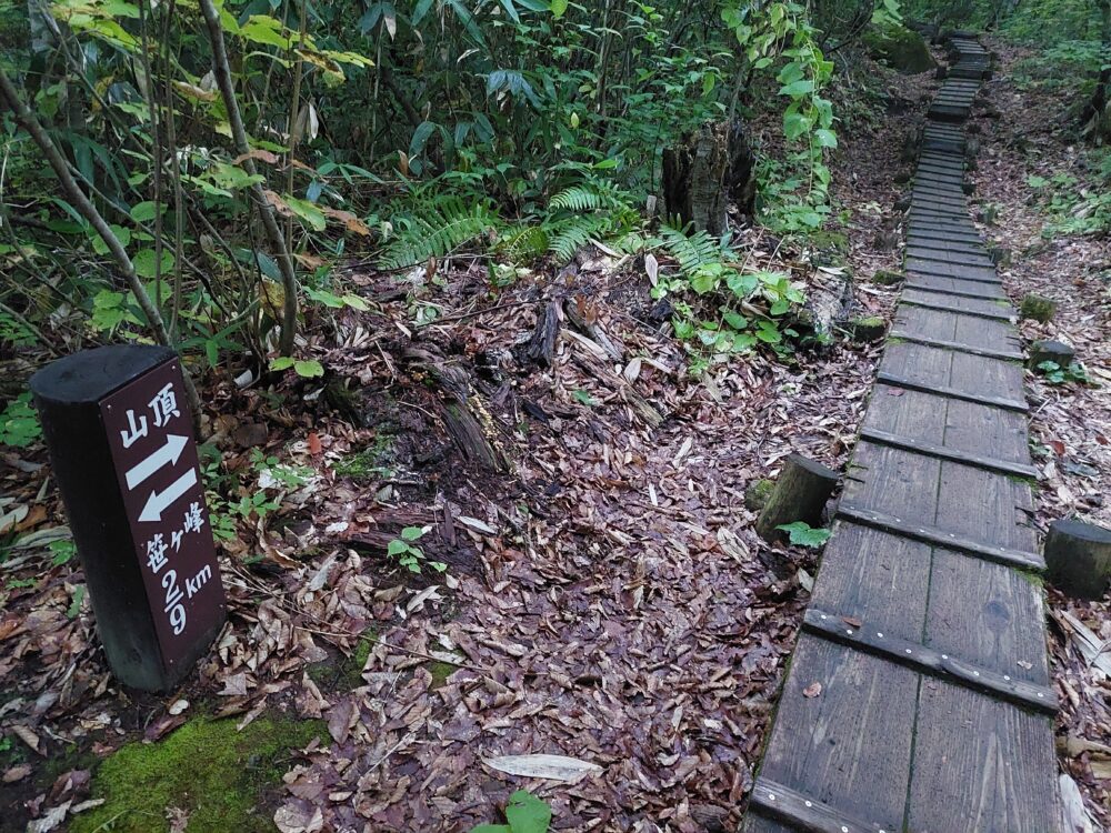 妙高・火打山の登山標識と木道