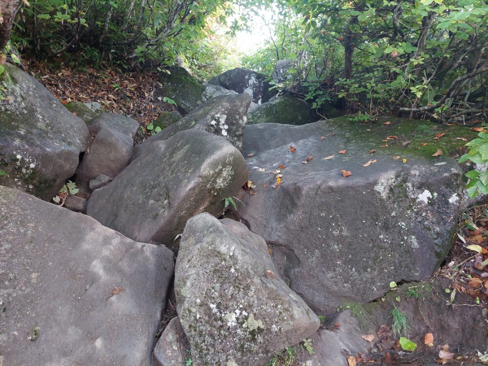 火打山・妙高山の急登