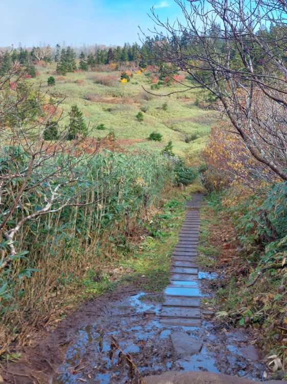 火打山登山道