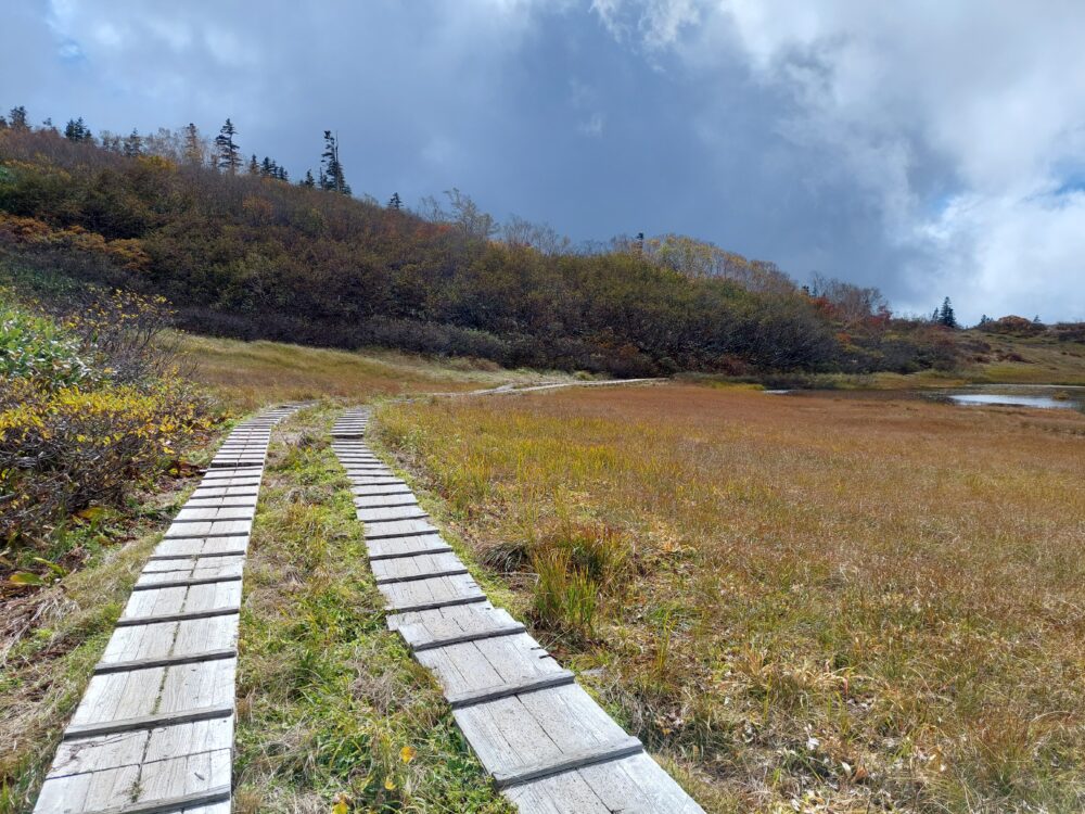 火打山の天狗の庭と木道