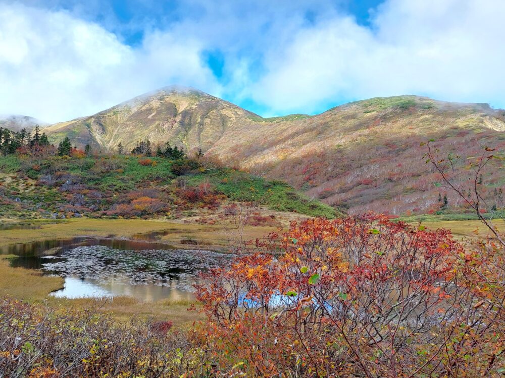 火打山の天狗の庭から見た火打山山頂と紅葉