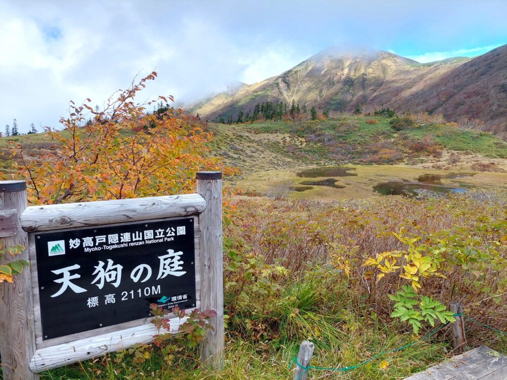 火打山の天狗の庭から見た火打山山頂と紅葉