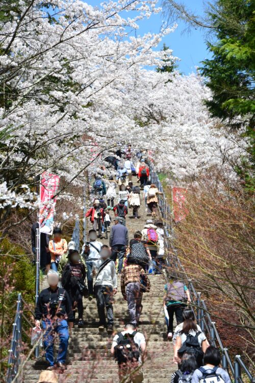 桜祭り開催時の新倉山浅間公園の階段