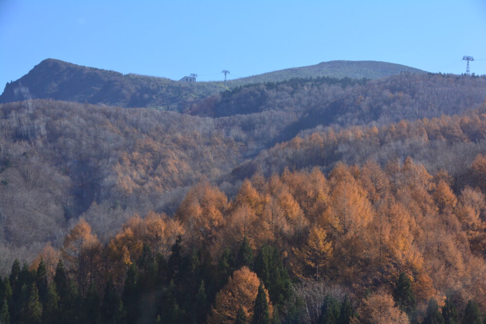 秋の蔵王山