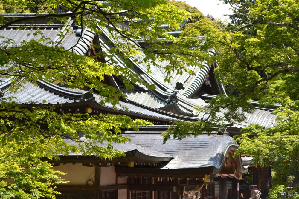 筑波山神社