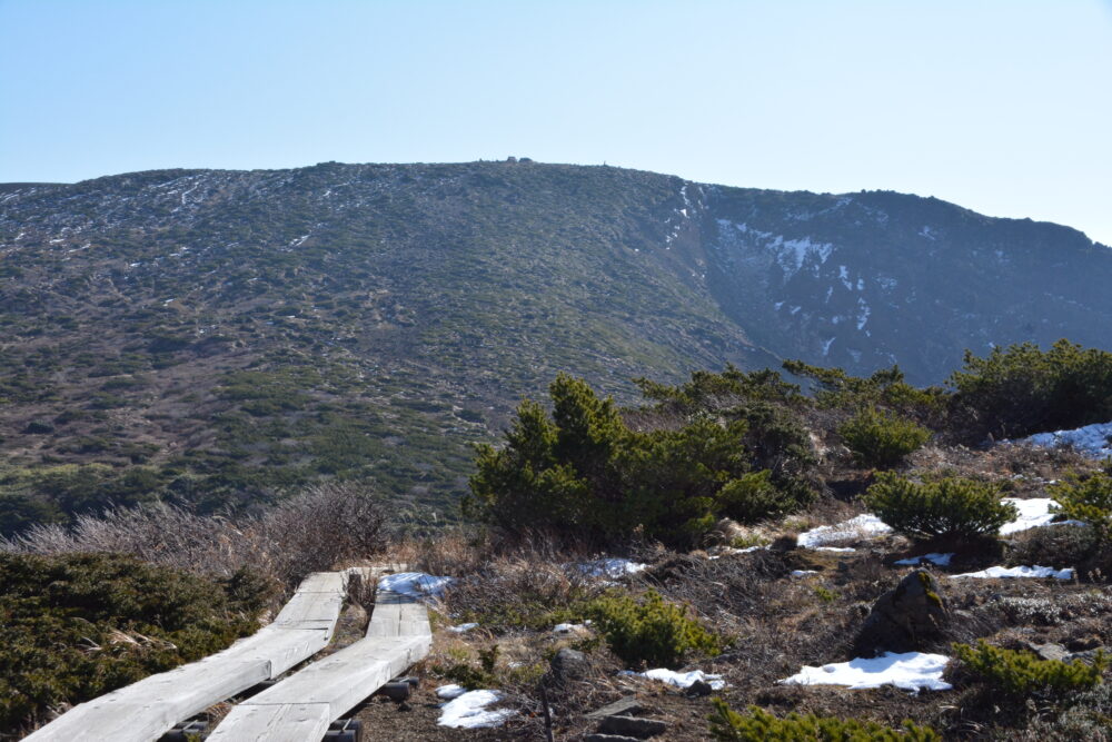 蔵王山の登山道（木道）と熊野岳山頂