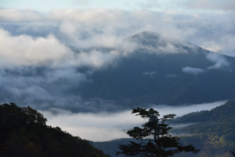 火打山・妙高山の登山道から見た朝靄と山々