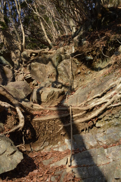 毛無山の登山道のロープ箇所