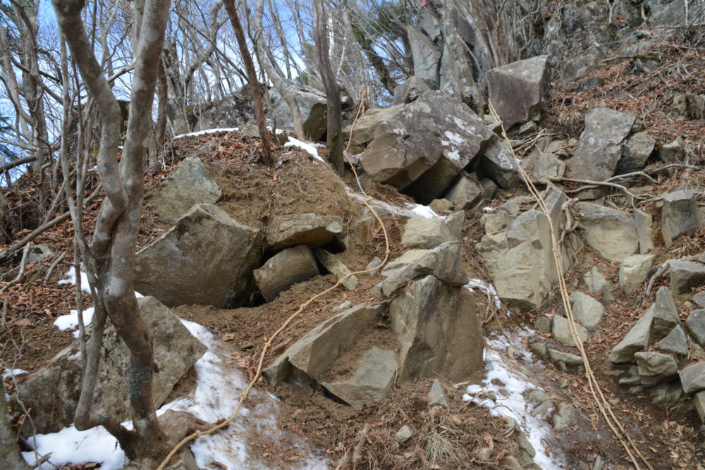 雪が少しある毛無山の登山道