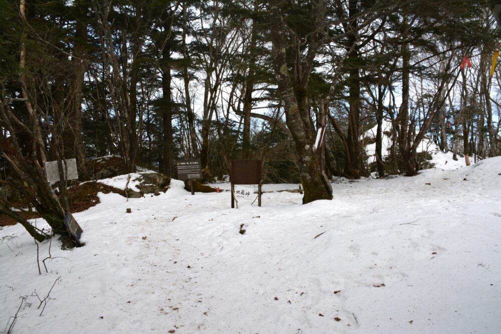 雪の毛無山の山頂周辺